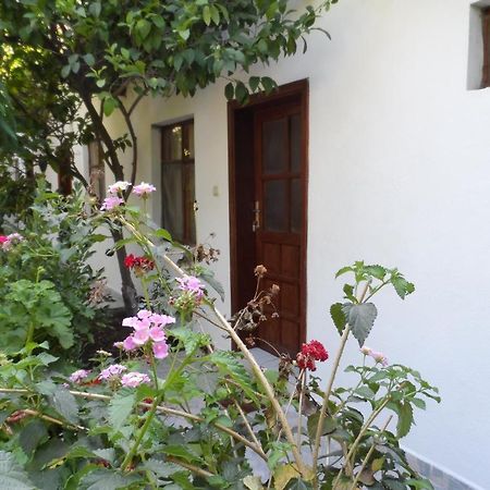 Engin Pension Çıralı Exterior foto