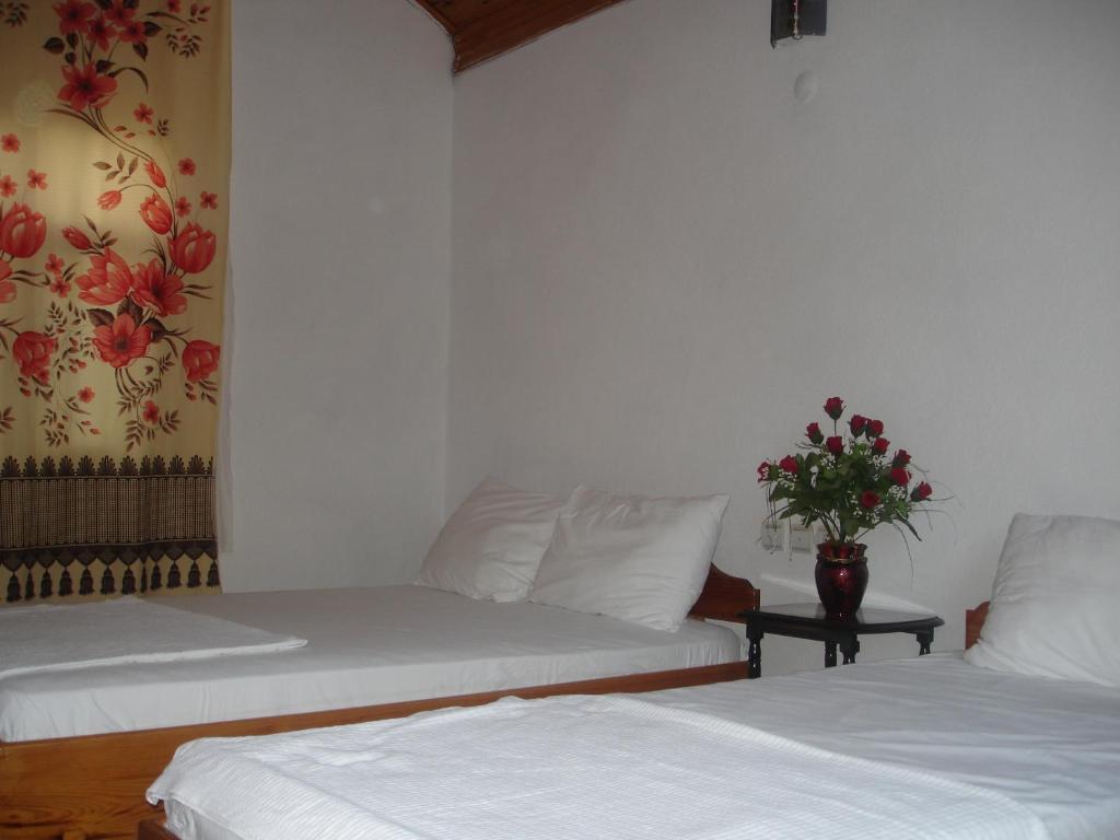 Engin Pension Çıralı Quarto foto