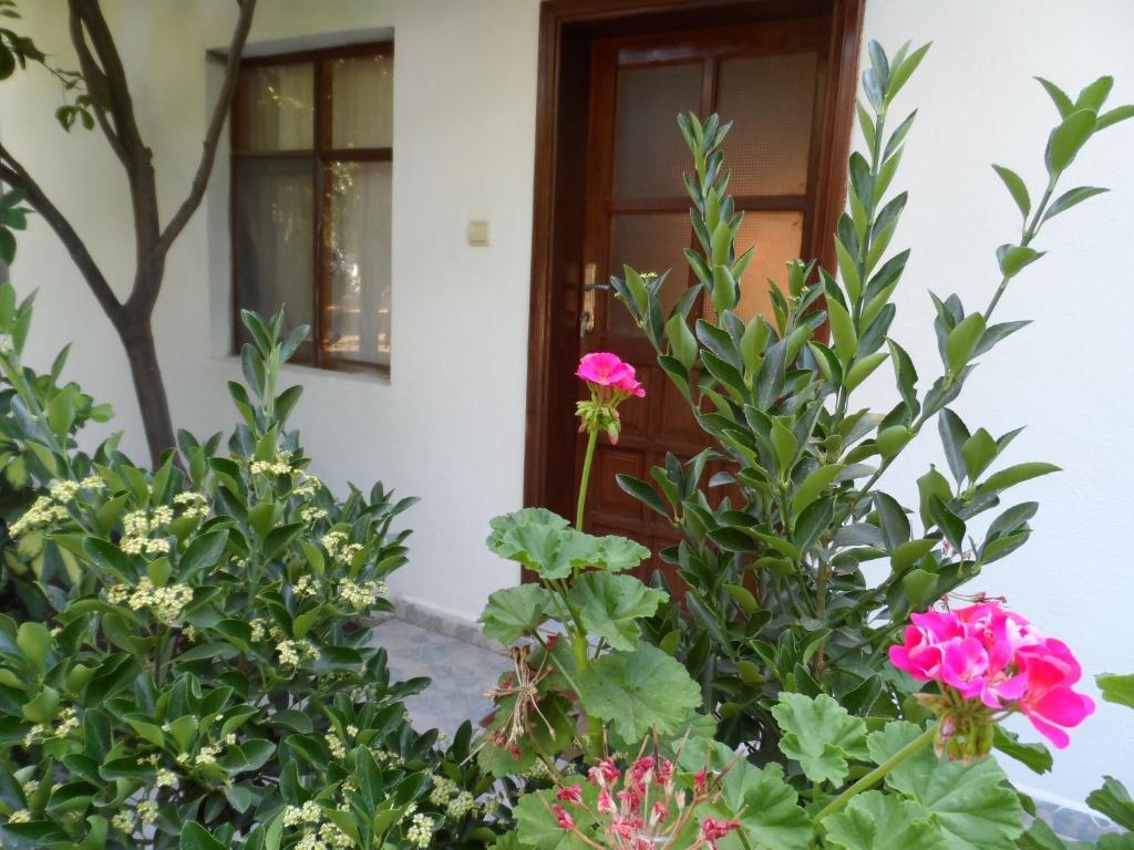 Engin Pension Çıralı Quarto foto